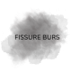 Fissure Burs