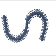 Separating Elastics.png