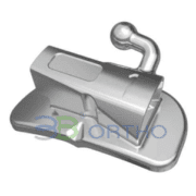 2nd Molar 018 UL7/LR7