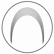 Arch Wires