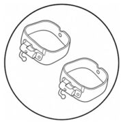 Molar Bands